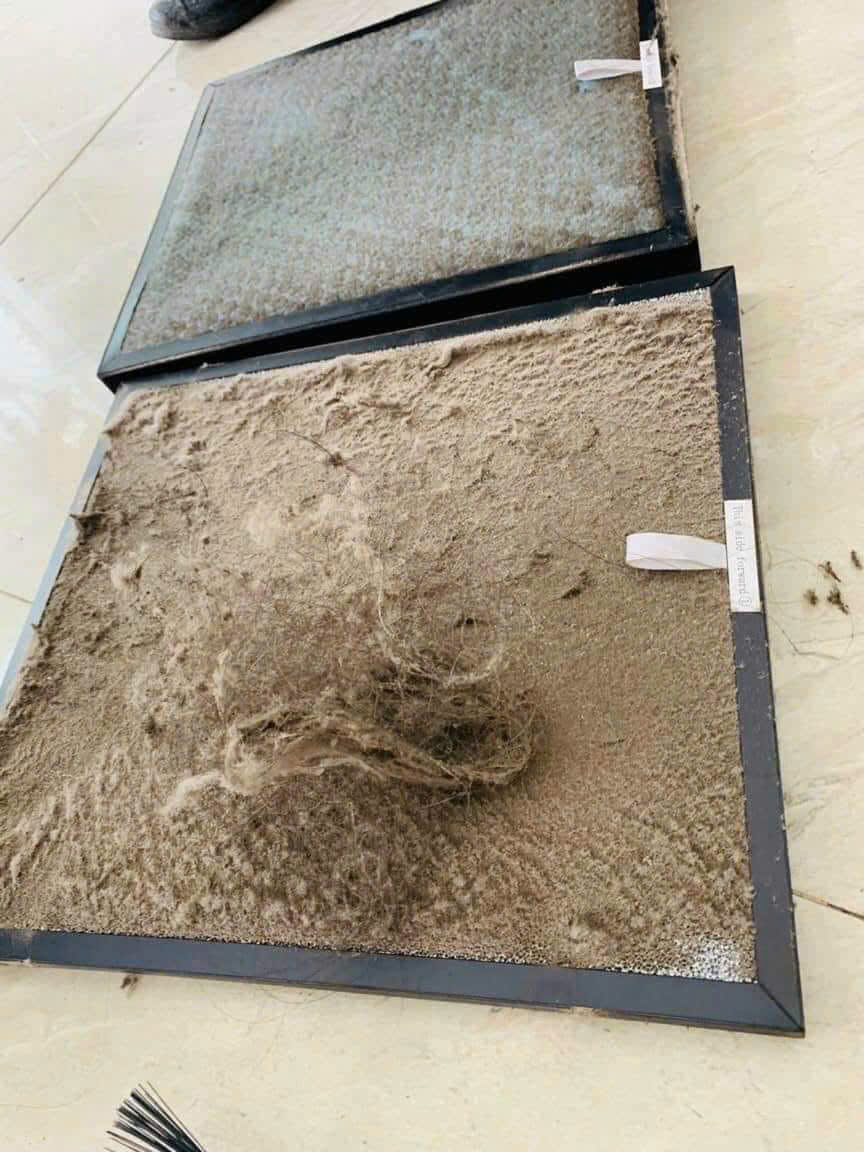 Vệ sinh tấm lọc không khí thường xuyên và thay định kỳ tấm lọc để đảm bảo độ bền máy lọc không khí frico